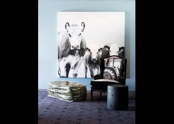 Bestemt hotell Noresund for naturopplevelser